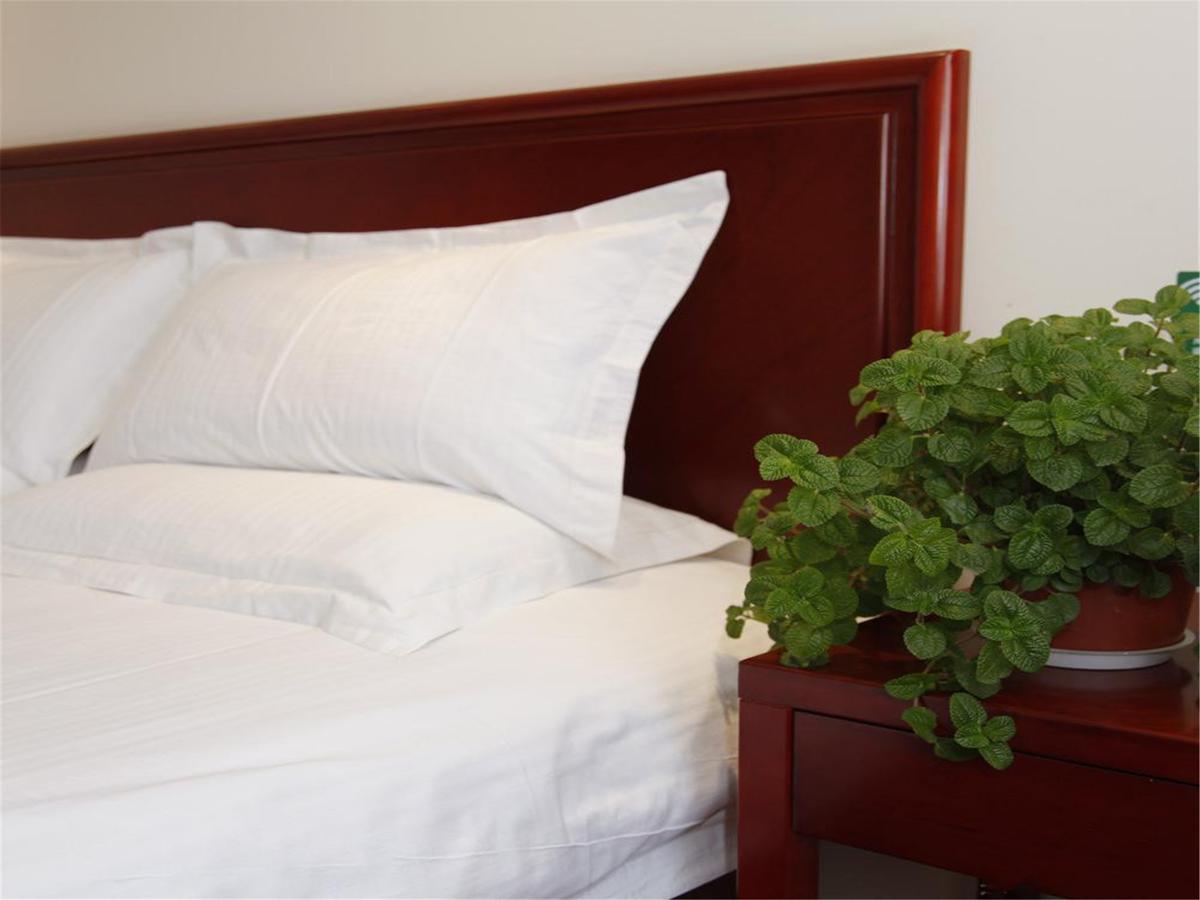 Greentree Inn Tianjin Meijiang Convention And Exhibition Center Express Hotel Esterno foto
